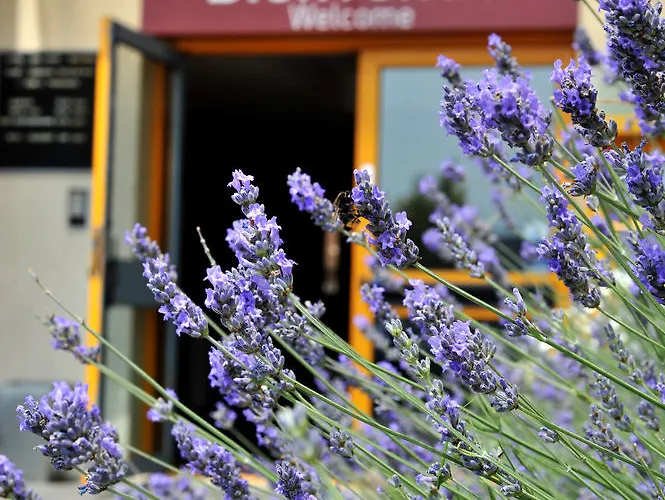 Welcomotel Aéroport Hotel